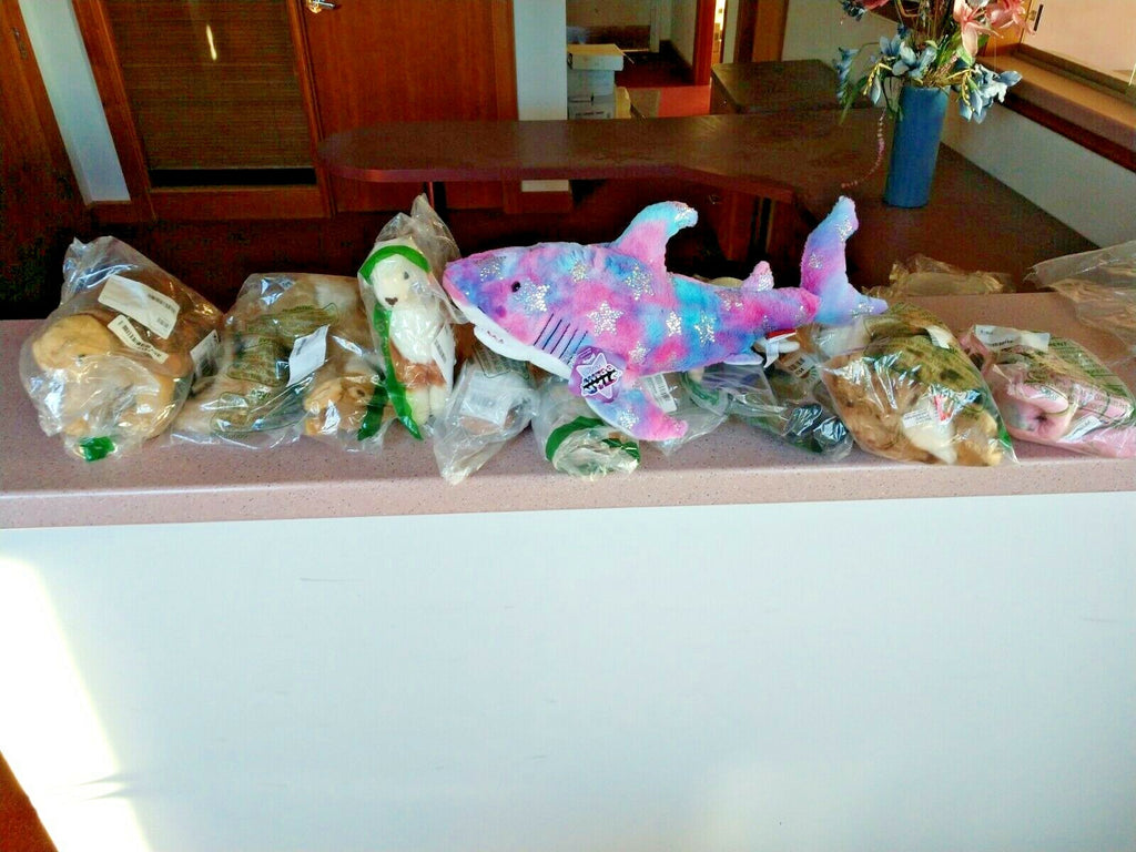 Desert Tortoise Plush Stuffed Animal Toy + 27 other VARIOUS STUFFED ITEMS