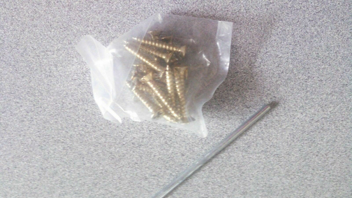 1 PAIR equal to BOMMER 3029 DOUBLE ACTING SPRING HINGES 4" SPRAYED BRASS DASH