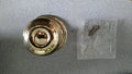 SCHLAGE SINGLE DUMMY GEORGIAN DESIGN (F170) US3 POLISHED BRASS