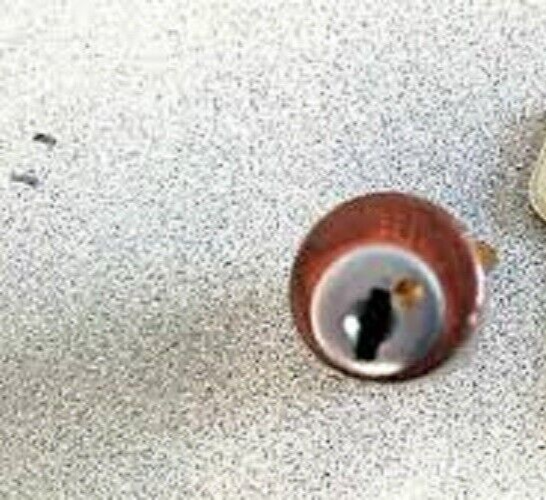 KESO IC CONSTRUCTION CORE NO KEYS LOCKPORT