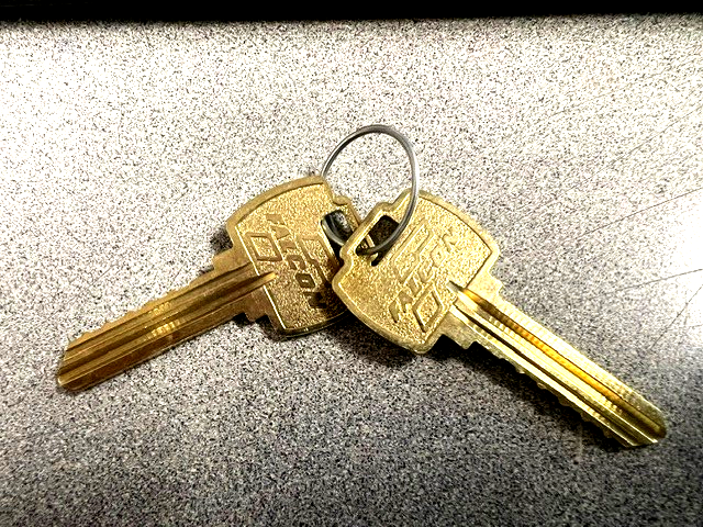 2 EACH FALCON LOCK " E " KEYBLANKS 6 PIN  *1 CUT)