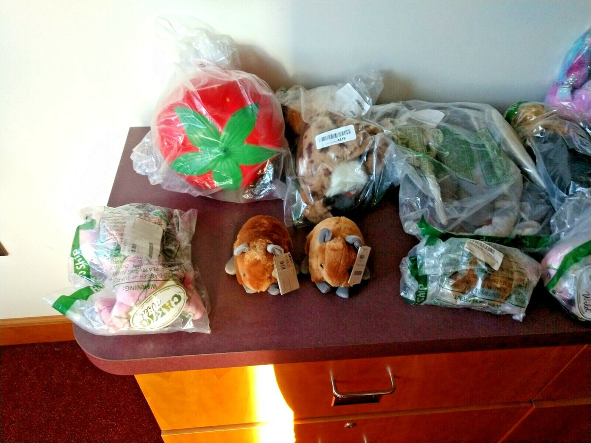 Desert Tortoise Plush Stuffed Animal Toy + 27 other VARIOUS STUFFED ITEMS